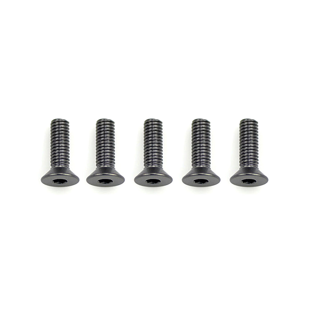 Schumacher CR312 Alloy Csk Hex Screws M3x10 pk10 (CR312)
