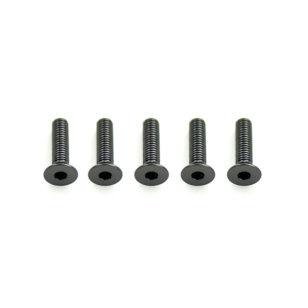 Schumacher CR313 Alloy Csk Hex Screws M3x12 pk10 (CR313)