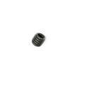 FTX B4X SS011 Grub Hex Screw M3 x 4mm (ftx-ss011)